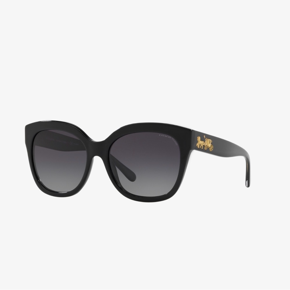 Coach Black Sunglasses
